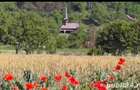 Vanzare terenuri construc?ii (agricol) - 2