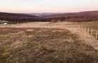 RECO Teren intravilan in Saldabagiu de Munte - 23