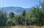 Terenul pe care se clădește visul tău – Tocile, Sibiu - 5