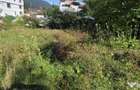 Teren intravilan 288 mp de vanzare in Busteni - 5