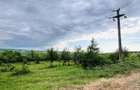 Teren de vanzare in Lipova (Baile Lipova) 52,1 ha curent 20kv, fs 550 m drum betonat - 5