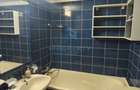 Inchiriere Apartament 2 camere in Vitan Pet Friendly - 4