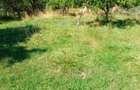 Vand teren intravilan, Domnesti, Arges
