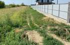 Feteni-Valea Mare (DB)-langa Casa bunicilor strdal - 6