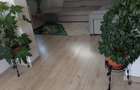 Ocazie casa de vanzare - 7