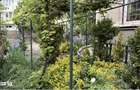 Inchiriere apartament 2 camere in vila cu curte Parcul Circului - 2