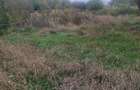 Casa . 4 camere 2550 mp , Stupini