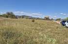 Teren intravilan- 1000mp- Harman-Brasov