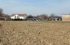 Casa in Filipesti de Targ,--70.000e