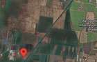 Teren extravilan 8600 mp Livada de Bihor - 3