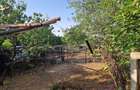 Particular: 1000mp teren deschidere lac Tasaul cu casa veche - 5