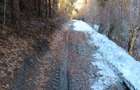 De vanzare 2 Hectare de Padure Brad Douglas Duplex Oportunitate Unica - 2