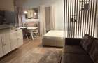 Studio de inchiriat, 40 mp, gradina privata si parcare, zona Europa