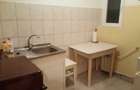 Inchiriez apartament cu 1 camera zona Nufarul - 5