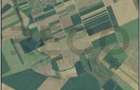 RECO Teren extravilan, zona Industriala in Livada de Bihor - 4