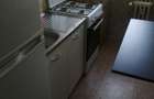 Apartament cu 1 camera in Iasi - 3