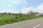 Teren Dridu, Ialomita - 5