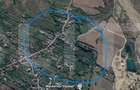 Teren intravilan 1.589 mp cu livada matura si casa existenta Dumbr - 5