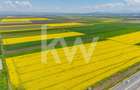 Teren 10.600 mp în Codlea – ideal pentru investiție industrială - 4