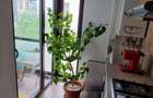 Apartament 2 camere de vanzare Militari Residence - Rezervelor - 5