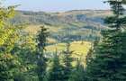 50 hectare teren | Moldova-Sulita | Potential turistic si agricol - 1