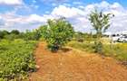 Teren intravilan Buftea, Crevedia, Manastirea, 582mp, Proprietar, 0%comision - 8
