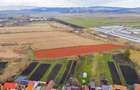Teren extravilan Bod, 10.000 mp, acces DE 290, zona spre Harman - 8