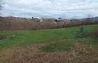 Teren intravilan 4350 mp in Campina - 2