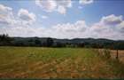 Teren Lac Domnesti Arges 18100 mp - 7