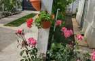 Casa de vanzare in com Redea, jud olt - 7