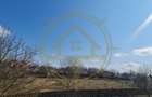 Dom00432 - teren de vanzare la lac snagov - 1