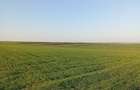 Relații la Nr de telefon 0774028335 - 2