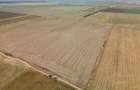 DASCALU - TEREN INTRAVILAN 7500 MP, INVESTITIE! - 2