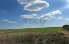 RECO Oportunitate teren 25000mp Santandrei - 3