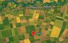 Terenuri de vanzare Vara?ti, Giurgiu - 3