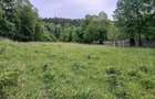 Vand Teren (Valea Doftanei) - 1