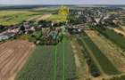 Teren 2.700 mp Ciocanesti - Urziceanca | La asfalt - 10