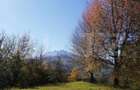 Teren 2500 mp, la strada, Ceahlau,, locatie perfecta - Ceahlau (Neamt)