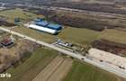 Teren extravilan de 7.000 mp langa Paltini? - 2