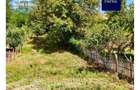 Casa de vanzare in Darlos, 877 mp teren | 6 km de Medias - 18