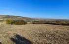 Teren 1.500 mp Fanatele Clujului (3 parcele + drum)extravilan, panorama