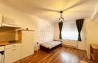 Apartament cu 1 camere de vanzare zona Nufarul, Oradea - 3