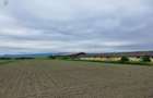 Teren Industrial Brasov - Halchiu cu deschidere la DN 13 - 2