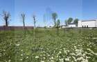 Teren intravilan 375 mp | Ideal casa | Acces rapid Bucuresti - 2