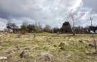 Proprietar vand teren in Brebu Nou 2877 mp - 5