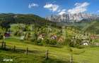 Teren cu fundatie de cabana, intabulat, 1.093 mp Satul Pestera, co