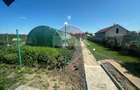 Casa 2 camere teren 6943mp Gologanu - 11