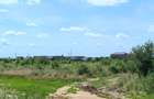 Teren intravilan,orasul Pantelimon,strada Plantelor si Gradinarilor - 8