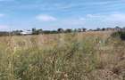 Teren intravilan de 5.400 mp | Matraca, judetul Dambovita