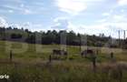 De vanzare teren Rasca - cu o panorama superba! - 1